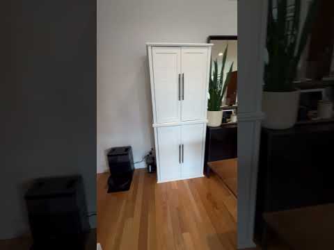 video 1