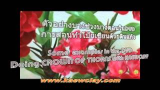 VDOตัวอย่างการสอนทำต้นโป้ยเซียนด้วยดิน