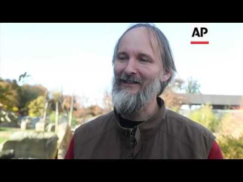 Baby elephants go on show at Prague Zoo