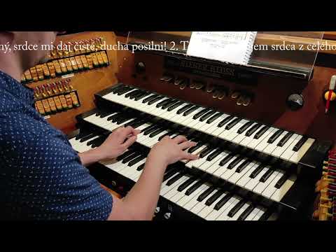 JKS 263 - Buď vždy pozdravená (Dóm sv. Alžbety)