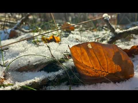 Spacer dookoła jeziora Bobrowo