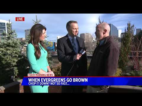 download lagu mp3 mp4 Evergreen Tlc, download lagu Evergreen Tlc gratis, unduh video klip Evergreen Tlc