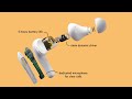 Ausinės Belkin - SOUNDFORM Nano True Belaidės Earbuds skirta Kids