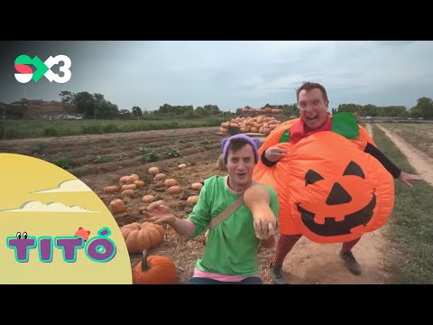 Excursió al camp de carbasses | Titó