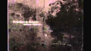Predella Avant   Carbon Figures   Track 01