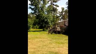 Tree was blocking satellite signal