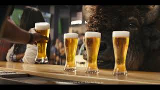 Buffalo Wild Wings Decision