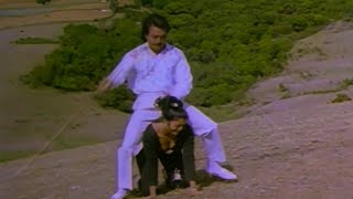 Bhanupriya Karthik Love Scene  Chakravarthy Tamil 