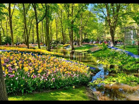 Keukenhof Holland 2025