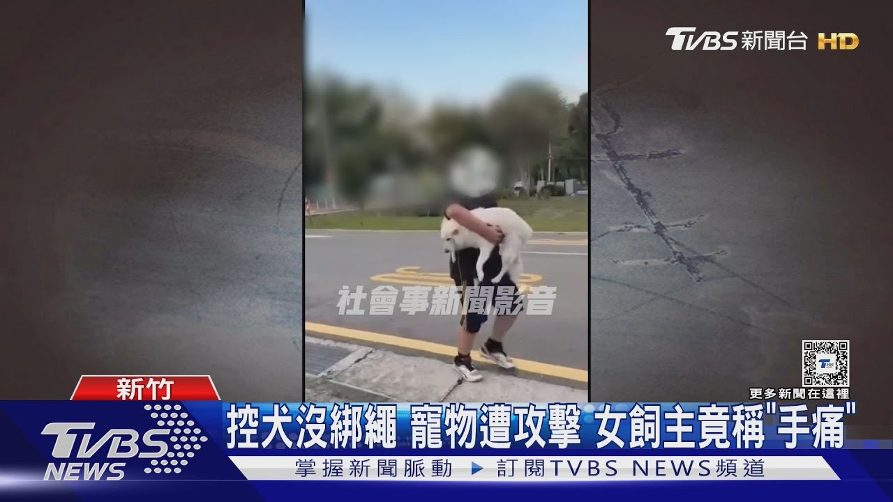 控犬沒綁繩!寵物遭攻擊 女飼主竟稱「手痛」