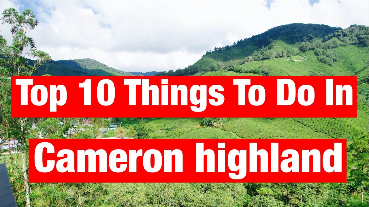 Travel Guide: Top 10 Things to do in CAMERON HIGHLAND, Malaysia
