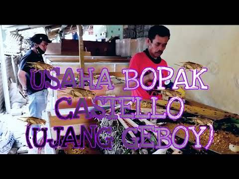 USAHA BOPAK CASTELLO  { UJANG GEBOY }