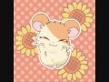 Hamtaro Caramelldansen 