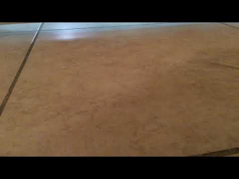 Cat delivered in a box :p