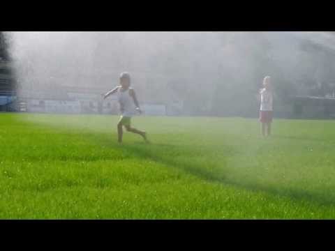 Testing hybrid grass /Collaudo erba ibrida POWERgrass