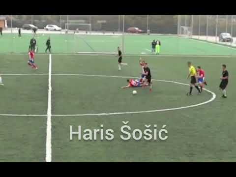 Haris Šošić lažnjak