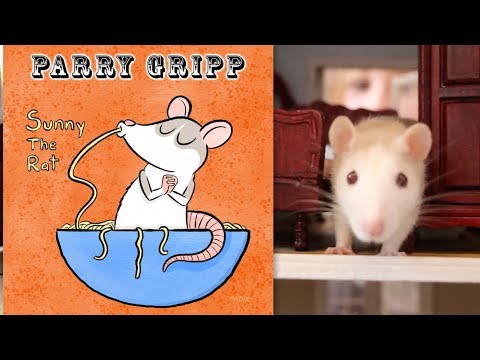 Video thumbnail for Sunny the Rat