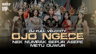 Download lagu OJO NGECE - NEK NUMPAK SEPUR ASEPE METU DUWUR DJ FULL VELOCITY REMIX FYP TIKTOK KARNAVAL 2026 mp3 Download lagu OJO NGECE - NEK NUMPAK SEPUR ASEPE METU DUWUR DJ FULL VELOCITY REMIX FYP TIKTOK KARNAVAL 2026 mp3