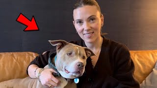 Scarlett Johansson Goes On Blind Date With A 12 Year Old Pittie