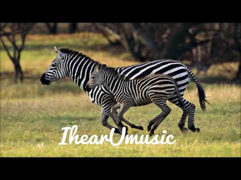 Kav Verhouzer & Palm Trees - In My Arms