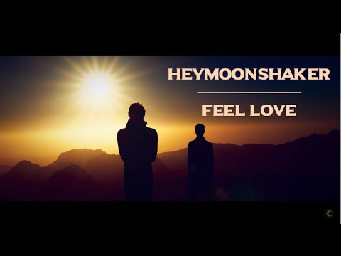 Heymoonshaker - Feel Love (Official Video)