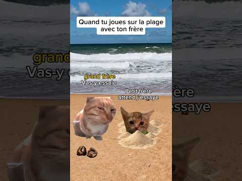 Quand tu joues sur la plage avec ton frère #humour #drôle #catmemes #sketch