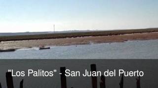 preview picture of video 'San Juan del Puerto Los Palitos'