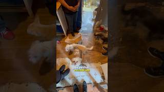 La historia de esta señora te romperá el corazón