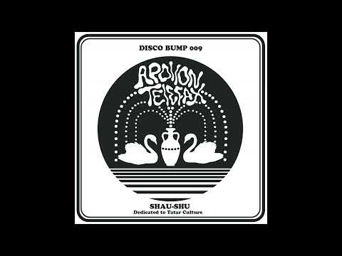 PREMIERE | Apollon Telefax - Aerylmagyz (feat.Camila Chamomile) [DISCO BUMP] 2023