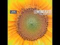 Lemongrass - Jardin 