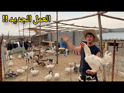 ​أقوى مغامرة في المزرعة | صدمة البيع وصول الكانجال وبداية العمل الجديد!! 🔥