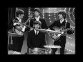 Don't Pass Me By-The Beatles