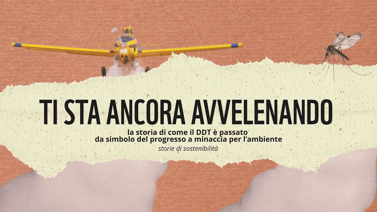 Come il DDT ti sta ancora avvelenando - storie di sostenibilità