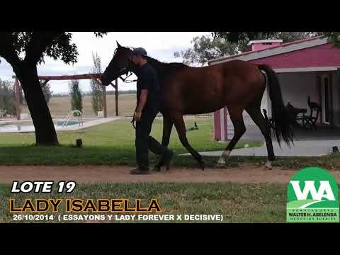 Lote LADY ISABELLA