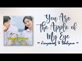 Jinyoung Dahyun You Are The Apple Of My Eye You Are The Apple Of My Eye OST RomIEng Lyric