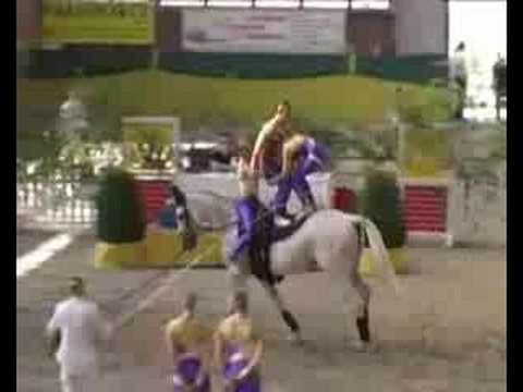 Team Groenendaal CVI Krumke 2008