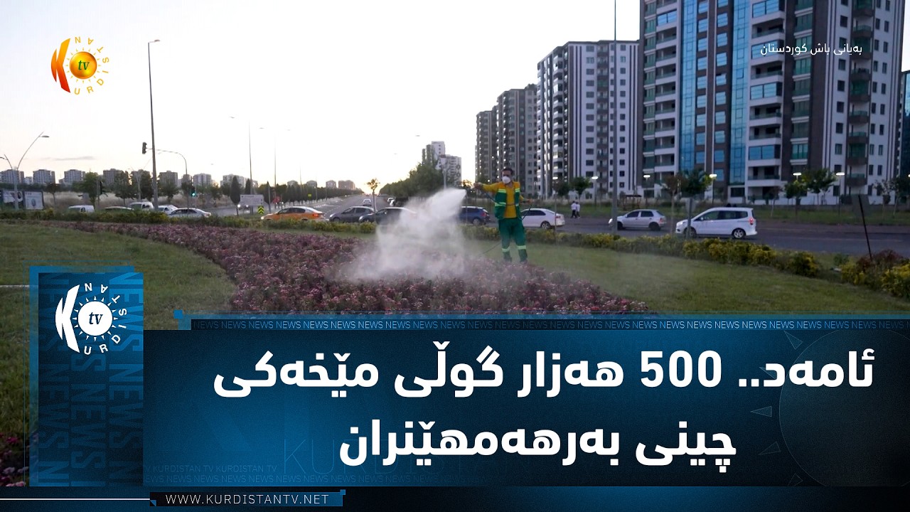 ڤیدیۆ | ئامه‌د.. 500 هه‌زار گوڵی مێخه‌كی چینی به‌رهه‌مهێنران