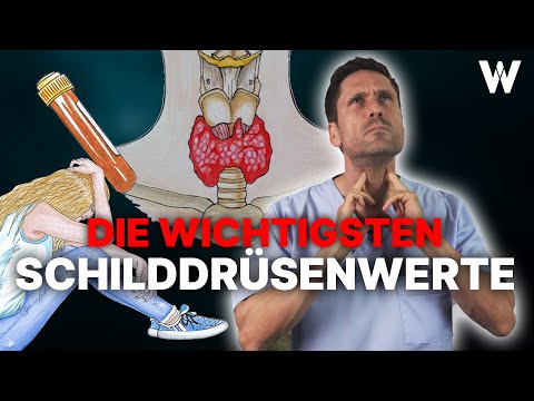 Schilddrüsenwerte verstehen: Wichtige Unterschiede & die Bedeutung der Blutwerte für die Schilddrüse