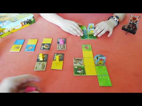 Vidéo Kingdomino