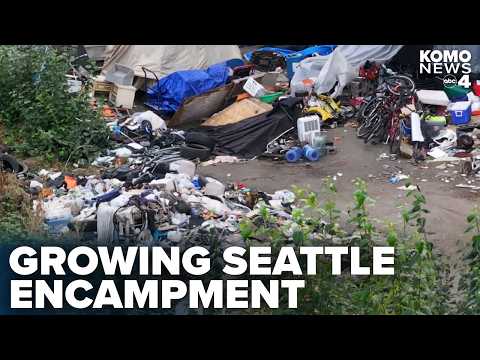 'A humanitarian crisis': Neighbors plead for city to deal with south Seattle encampment