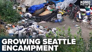 'A humanitarian crisis': Neighbors plead for city to deal with south S