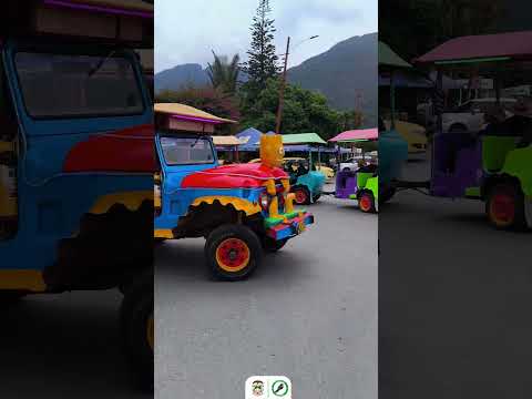 Una experiencia llena de sonrisas inolvidables 🚂💛