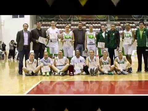 Sepsi SIC 2013-2014 képekben