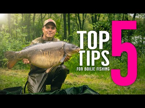 TOP 5 TIPS FOR BOILIE FISHING! Carp fishing bait tips with Adam Reed! Mainline Baits Carp Fishing TV