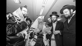 כ''ק האדמו''ר מנדבורנה בברית לבן הרב אליעזר לזר.