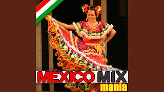 Caballo Prieto Azabache