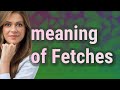 Fetches | meaning of Fetches