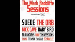 The Mark Radcliffe Sessions (Vox Tape) - 07 Tindersticks - She&#39;s Gone