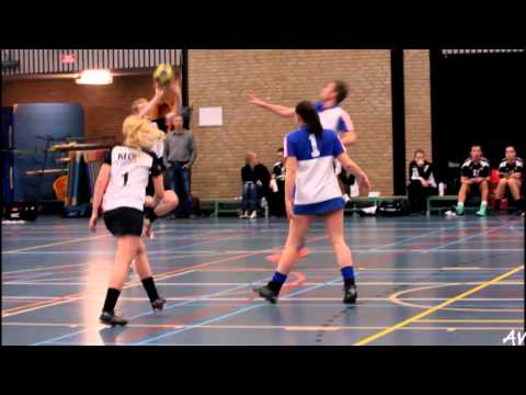 Fragment HKC 1 - De Meervogels 1 (4)