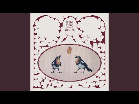 video frame placeholder